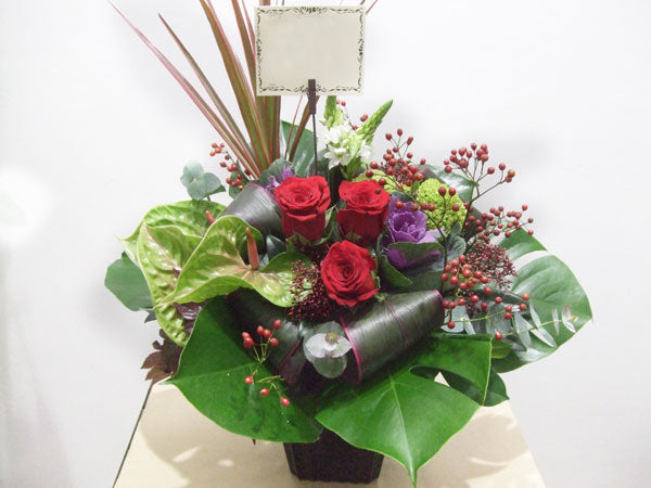 《AC_0008 お祝いアレンジ》大人おしゃれ系