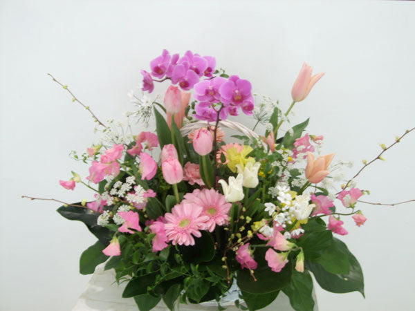 《AC_0017 お祝いアレンジ》季節の花材 おまかせアレンジ