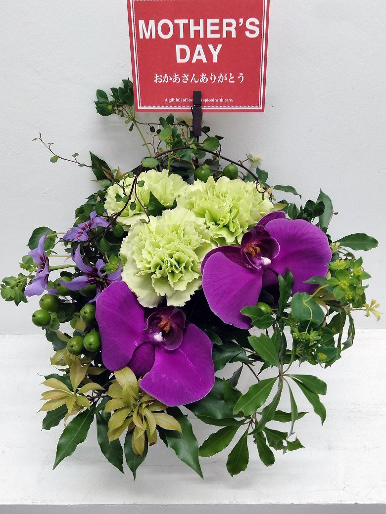 MD_0002 母の日アレンジメント》 胡蝶蘭 – 札幌のお花屋さん～花マルシェ
