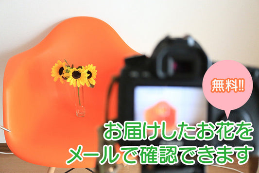 画像配信サービスを行っています