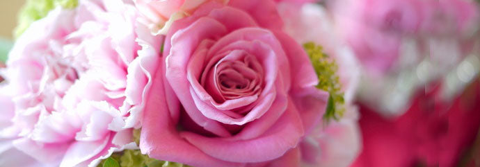 バラの花ことば