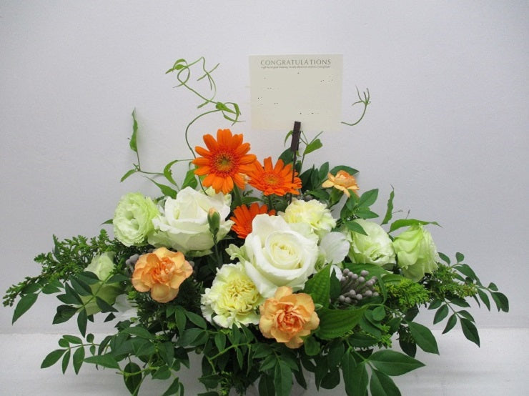 《AC_0005 お祝いアレンジ》オレンジガーベラ