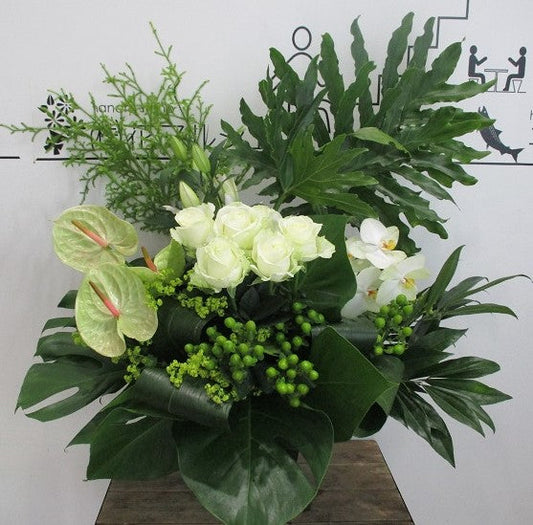 《AC_0007 お祝いアレンジ》白＆グリーン