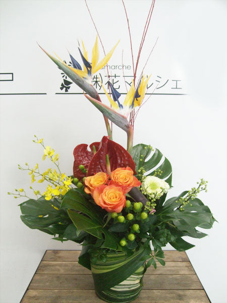 《AC_0013 お祝いアレンジ》ワイルド