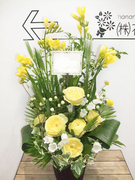 《AC_0021 お祝いアレンジ》★レア★フリージア使用