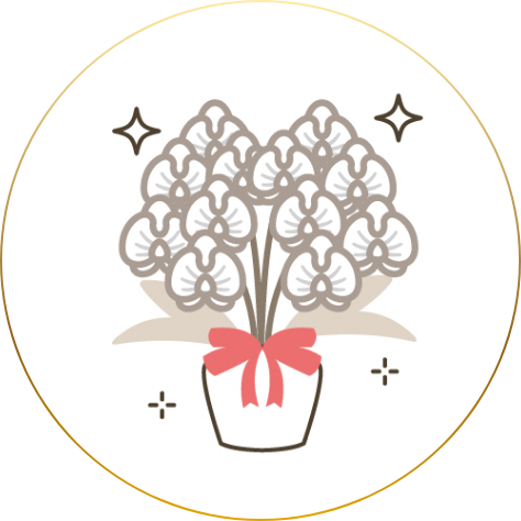 花マルシェの胡蝶蘭｜ここがいい! その①