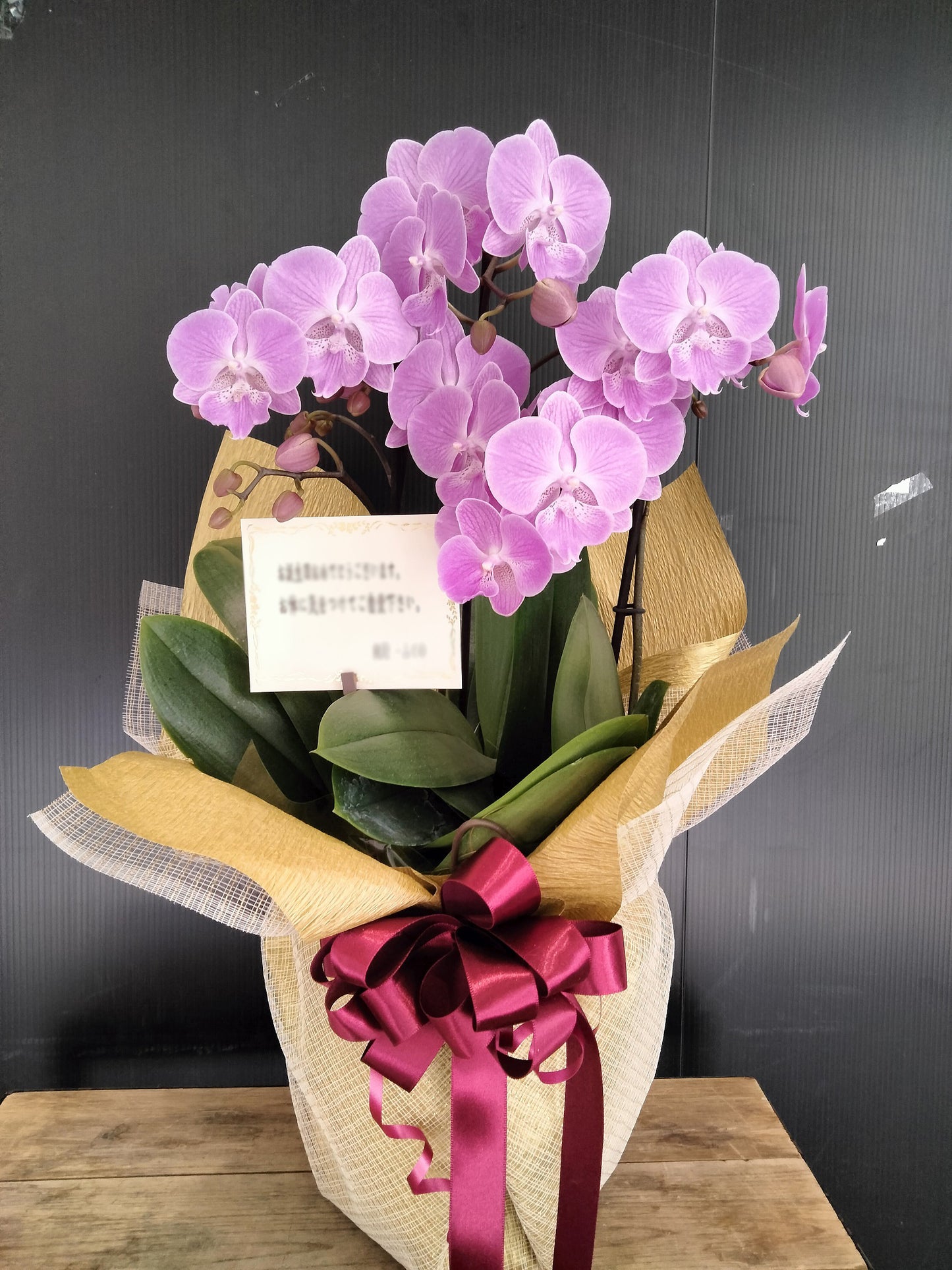 《PC_0025 胡蝶蘭》中輪 ピンク 3本立て